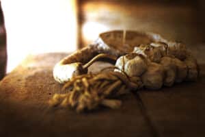 Garlic Saint Of Basile