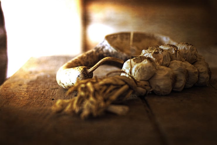 Garlic Saint Of Basile