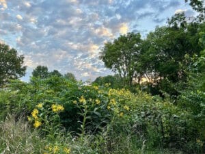 iowa sunset