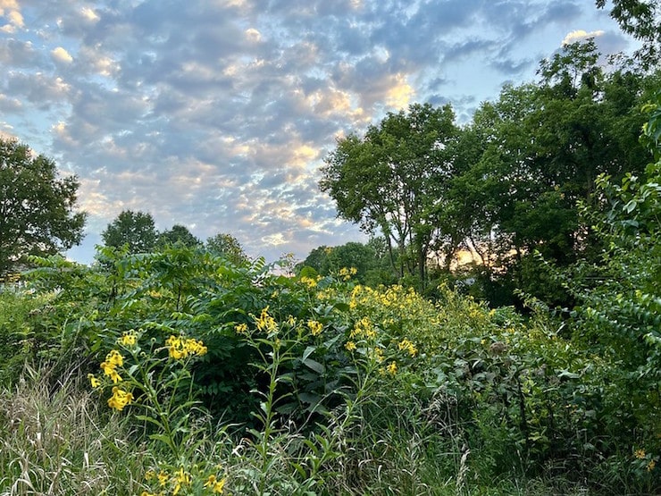 iowa sunset