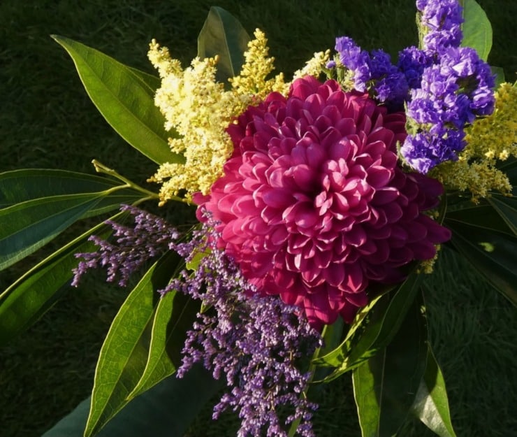 Bethany bright flowers