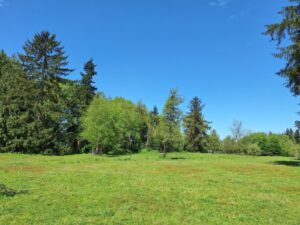 Bethany green space