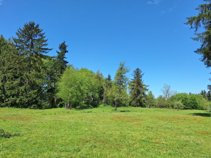 Bethany green space