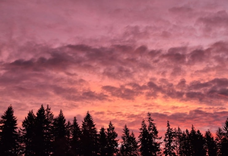 Bethany pink cloud sunset