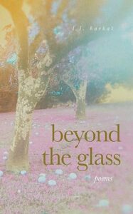 Beyond the Glass Barkat