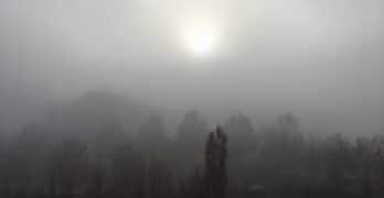 Foggy Day Czeslaw Milosz