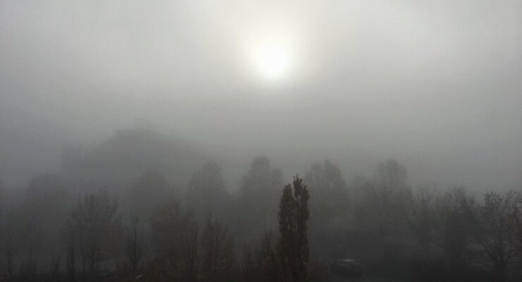 Foggy Day Czeslaw Milosz