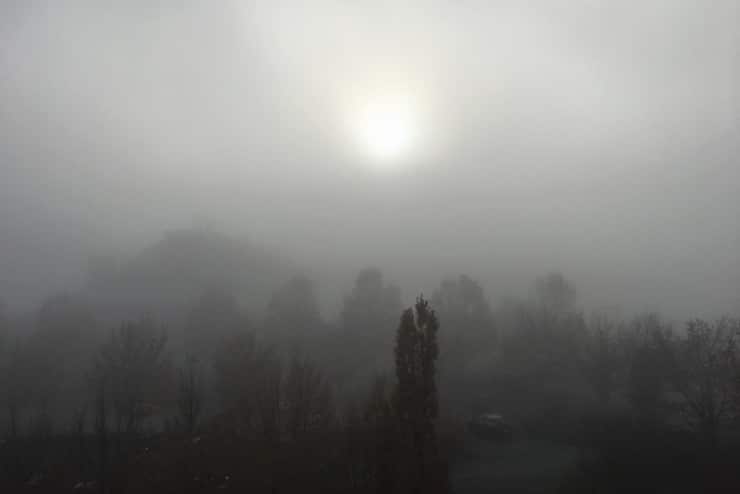 Foggy Day Czeslaw Milosz