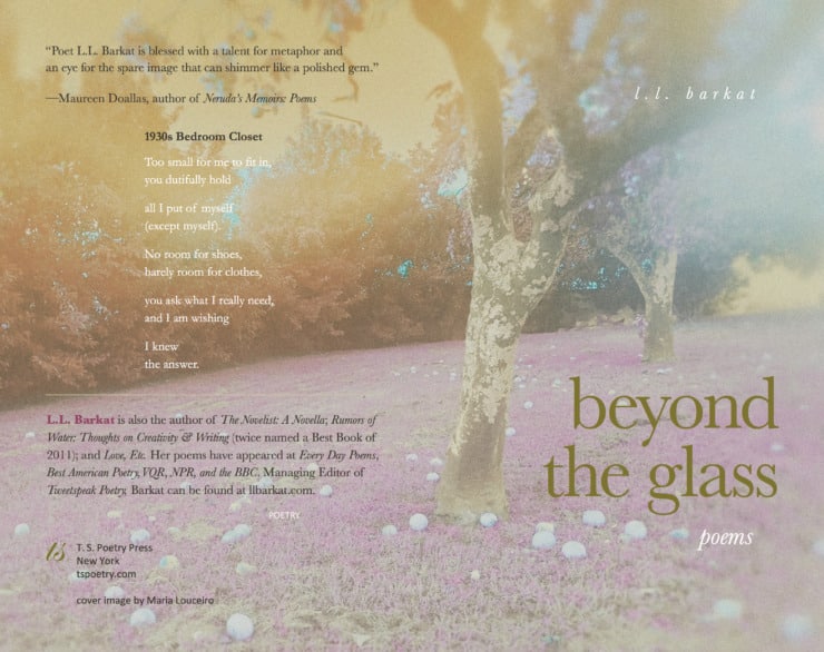 LLB-Beyond the Glass Cover-JPEG