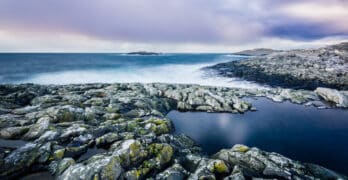 Rock Shore Lawder