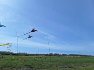 bethany kites