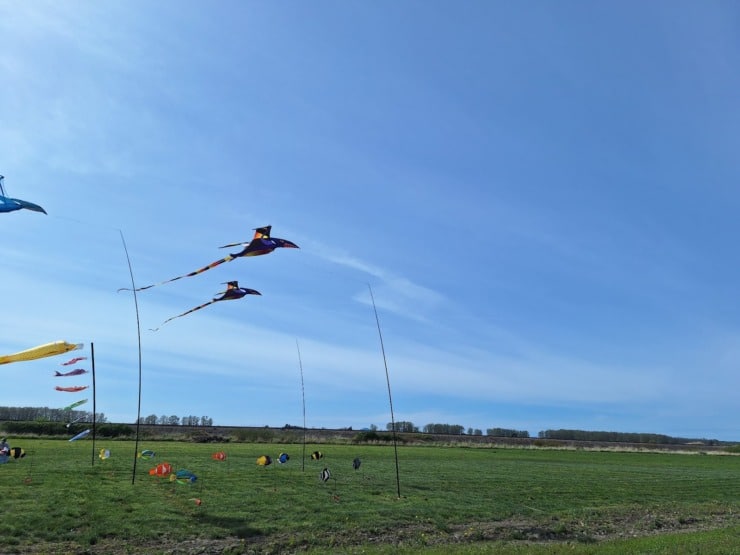 bethany kites