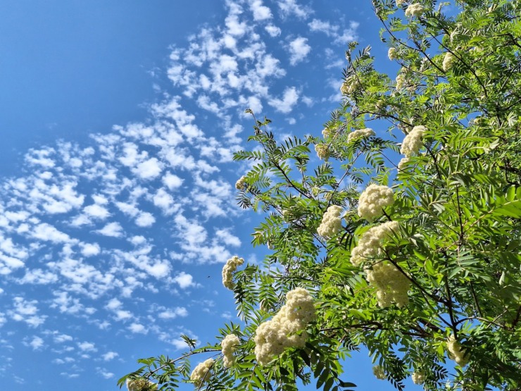 bethany sky clouds