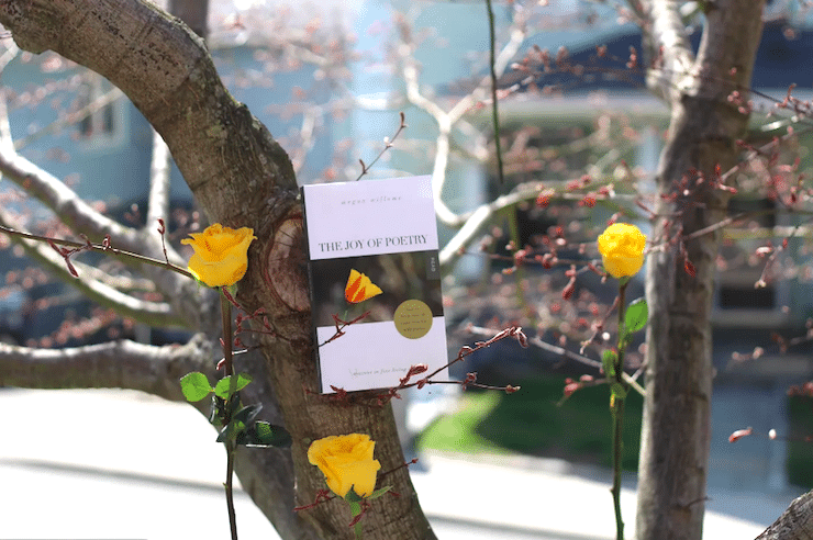 joy of poetry with yellow roses