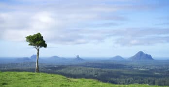 One Tree Hill Queensland Blevins