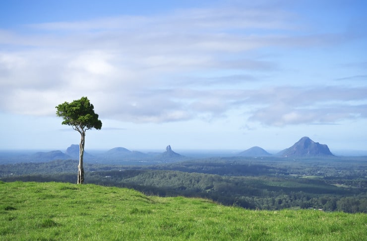 One Tree Hill Queensland Blevins