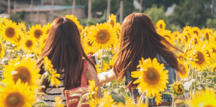 girls in sunflowers Weingard
