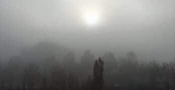 Foggy morning Jones
