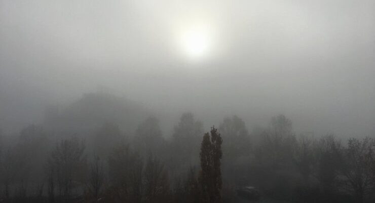 Foggy morning Jones
