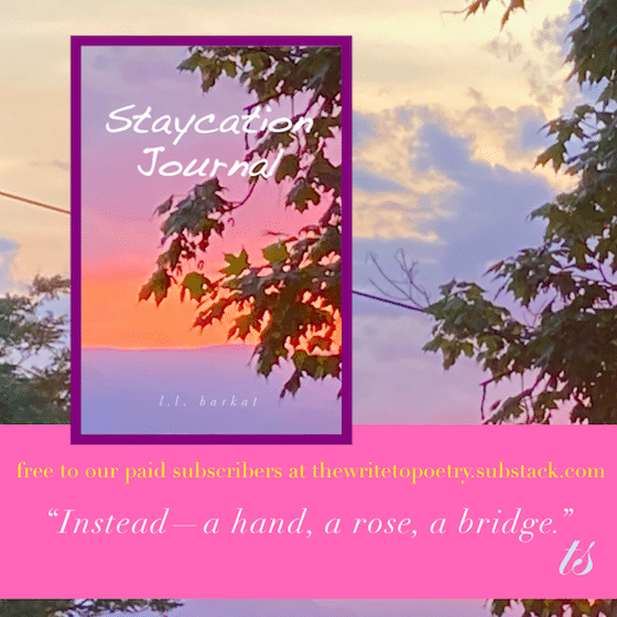 instead a rose free chapbook