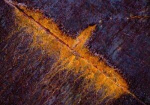 phoenix shape in rust