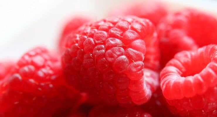 raspberries dip into poetry