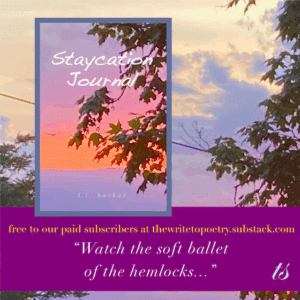 soft ballet free chapbook