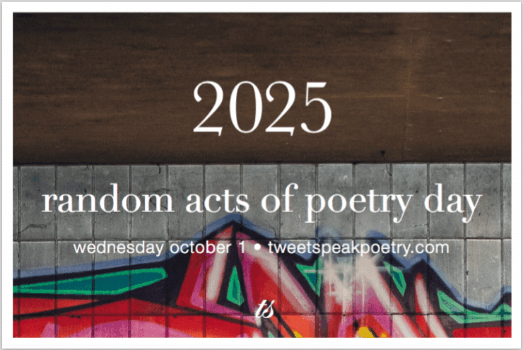 2025 RAP Cover Ideas Booklet