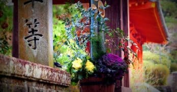 Temple flowers New Orleans accent