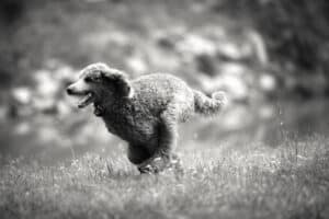 We Too Were Once on Fire Murphy