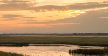 River at sunset Kiefer and Corso