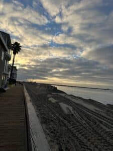 Palm at the end of the walk - Donna Hilbert