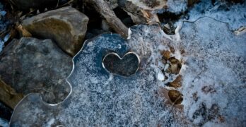 ronsard's amour-fire and ice heart