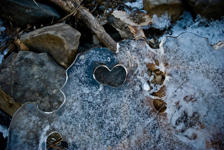 ronsard's amour-fire and ice heart