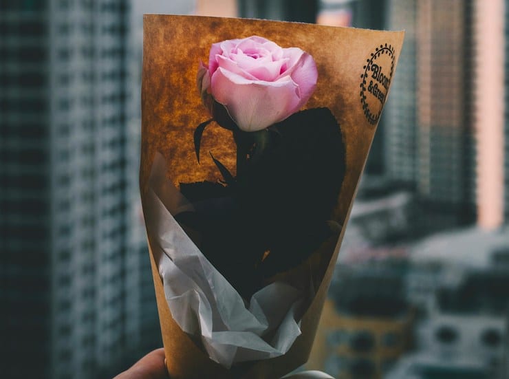 rose in urban-erato the muse
