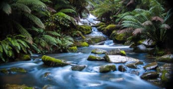 Bentley Falls Jacobs