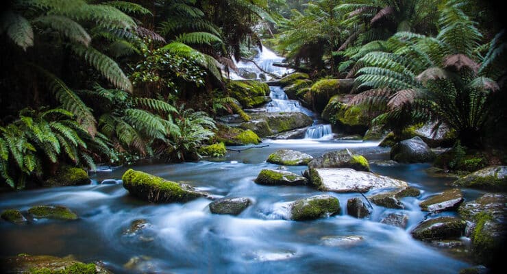 Bentley Falls Jacobs