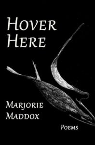 Hover Here Maddox