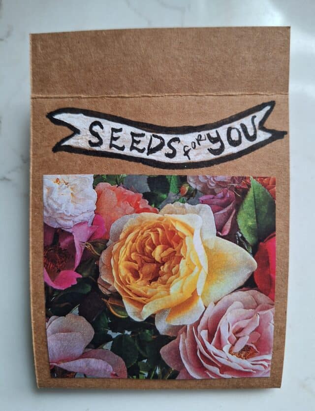 craft seed packet