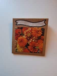 craft seed packet in progress
