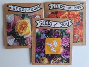 craft seed packets 2