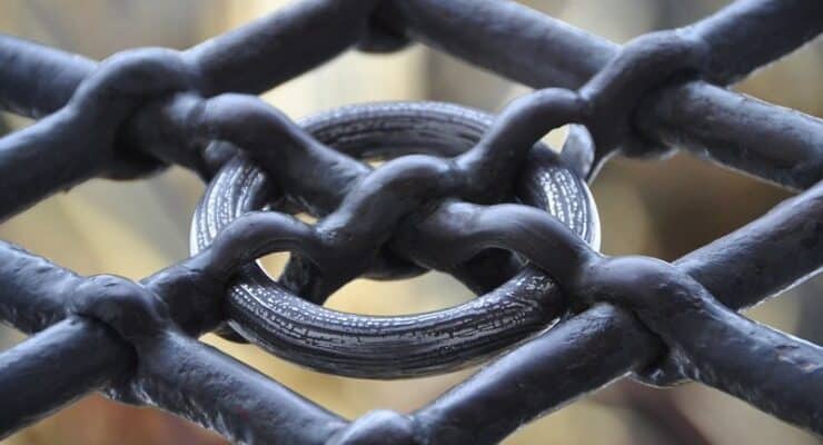 Fence Livewell