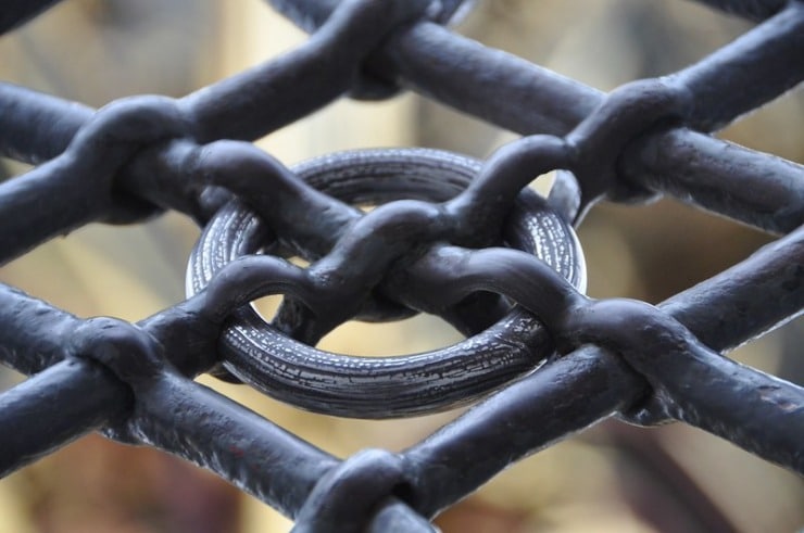 Fence Livewell