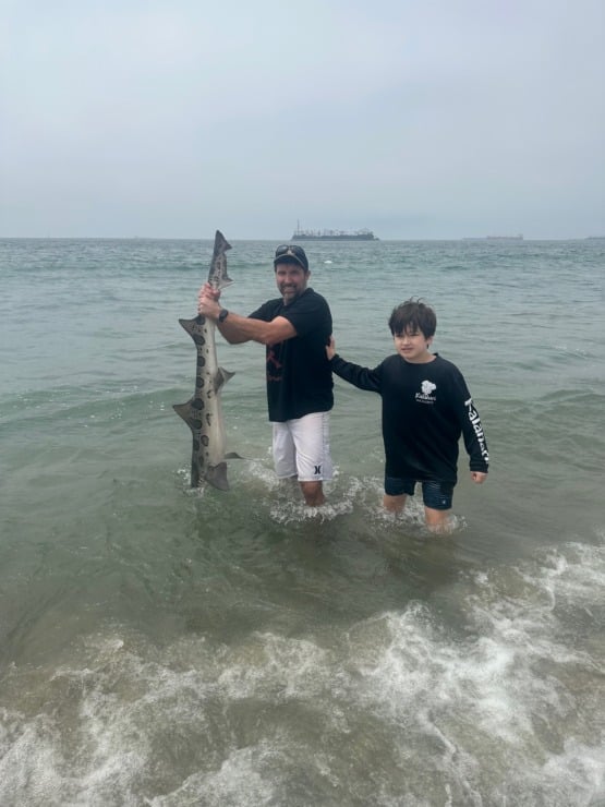son with tiger shark