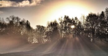 Autumn sun Wiman