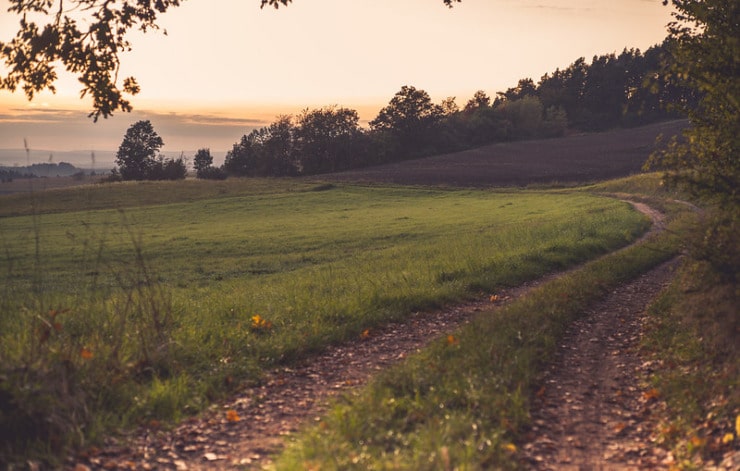 Country Lane Celan
